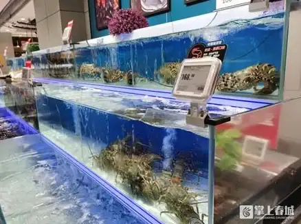 胖柚APP让你轻松购生鲜，这样的省钱利器你确定不试试？