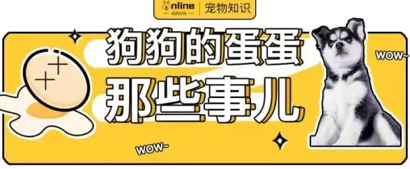 想让你的手机桌面充满可爱的二次元宠物吗？试试图图宠物app吧！