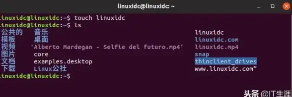 系统管理 信息查询 linux查看系统信息-Linux系统信息查看方法与命令详解