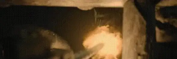 还在为父母找不到适合的电视软件发愁？喜欢央卫APP专为老年用户贴心设计！