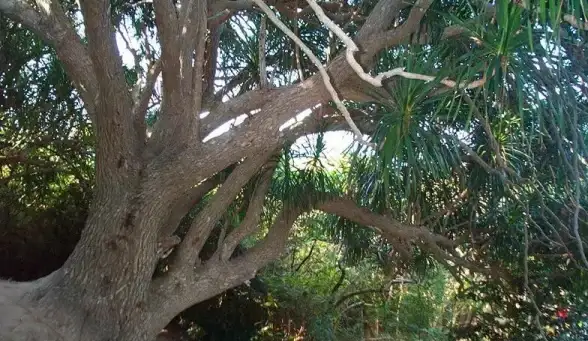 爱好摄影穿搭却找不到交流平台？兴趣岛APP全新升级，海量课程等你来学！