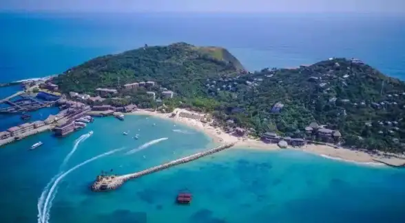 喜欢岛主的动态却不知道怎么支持？趣岛APP金币上岛，开启专属社交体验！