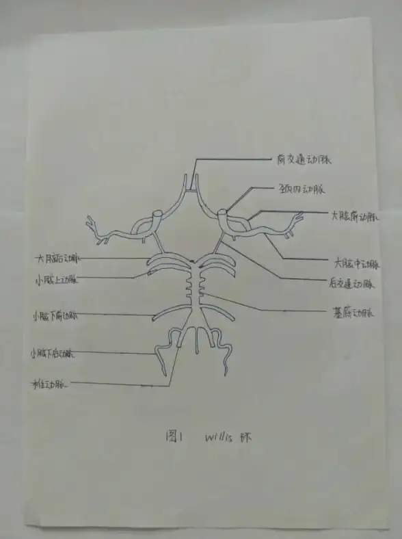 需要一个清新简约的打卡助手？小日常目标打卡APP是你的不二之选！