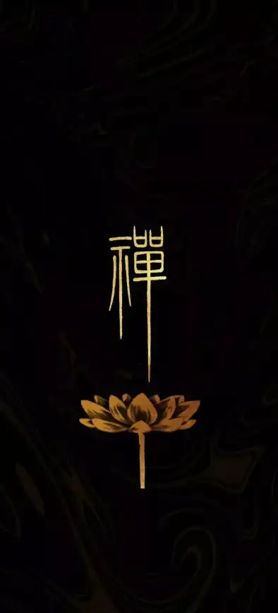 摄像头问题📷黑屏故障Windows11摄像头启动后画面全黑原因分析与解决方法