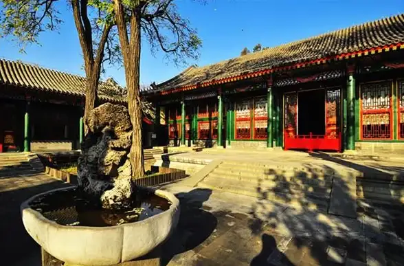 视频解析大师APP，谁说解析视频地址不能又快又简单？