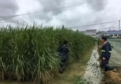 资讯太多看不过来？这款聚合平台帮你精准筛选！