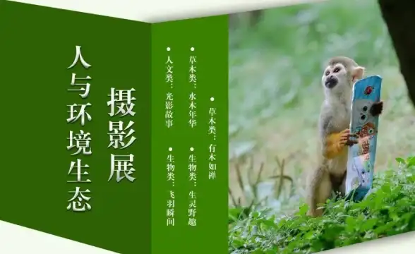 办公学习效率低？清橙扫描的文字提取+万物识别功能怎能错过？