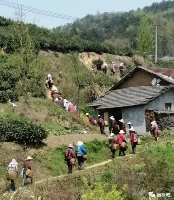 攻略爆料✦独居生活✦触发条件揭秘丨我独自生活小花前置任务全解析