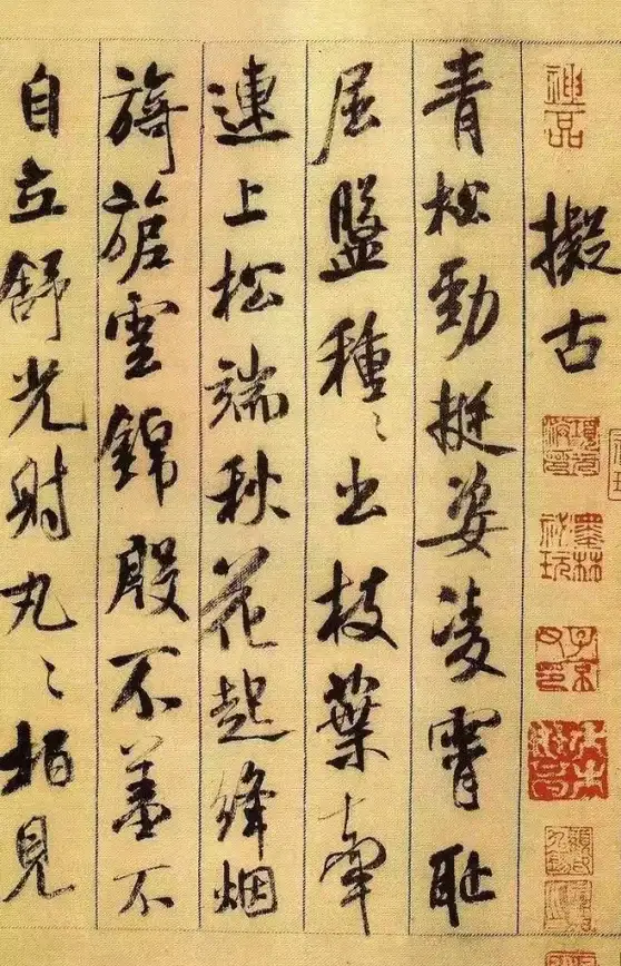 既要高品质音乐又要一键下载？速悦音乐3.0.7为何不试试看？