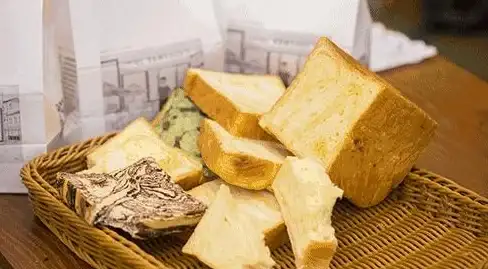 背单词枯燥无趣？奶酪单词如何用养成乐趣帮你高效学习？