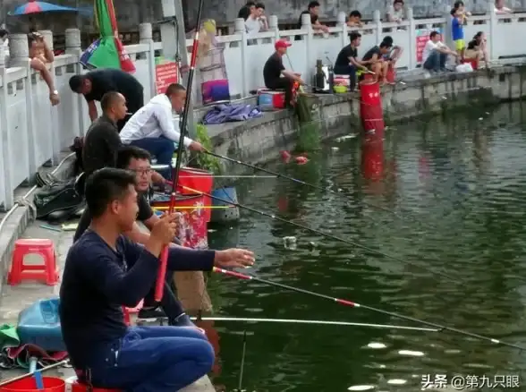 休闲钓鱼🎣极致养鱼 受欢迎钓鱼养鱼游戏2025最新精选合集