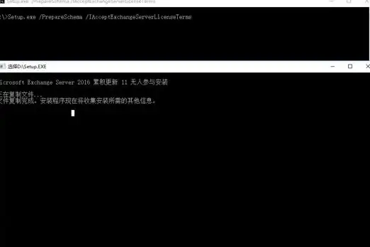 软件教程🚀Win11平台exe程序安装详细操作指南
