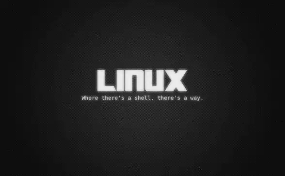 隐私保护🔒图片密码设置：Win11图片密码设置教程，轻松守护您的个人隐私安全