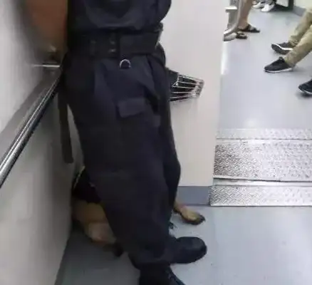 安全指南🚇逃生技巧 火灾防护 地铁逃生卡与车门的精准匹配方法揭秘