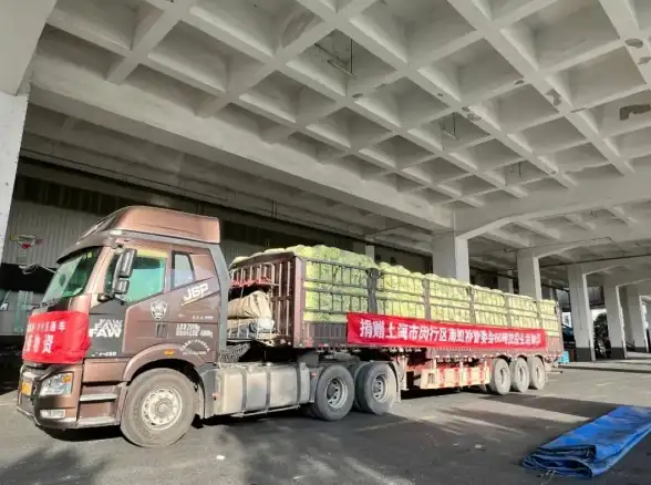 还在为资源管理发愁？洋葱软件盒一站式解决你的所有需求！