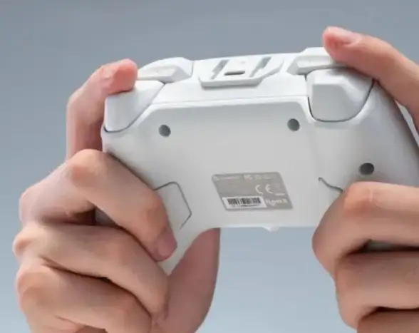 还在为找不到合适的手柄应用发愁？Gamesir让你畅享极致游戏体验！