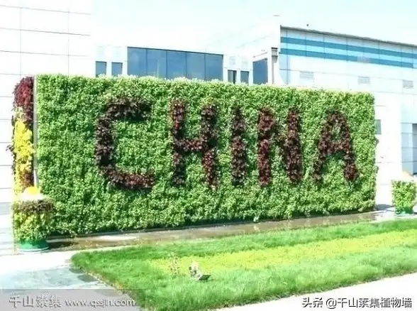 驱动工具 驱动精灵绿色版：一键修复与更新电脑驱动轻松实现
