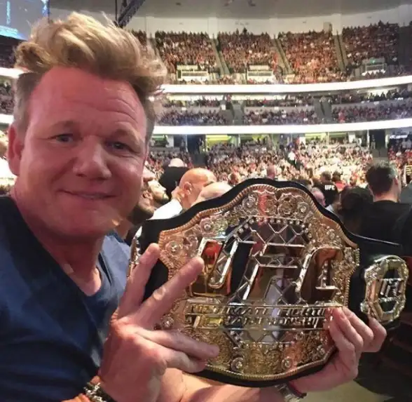 热门🔥必玩🔥超赞 UFC格斗手游推荐及2025年度顶级合集！