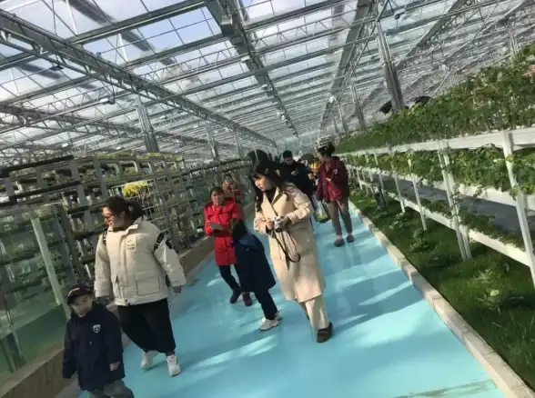 想轻松获取热门资源？荷花社区APP，你的专属分享下载平台！