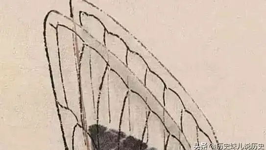 绘画技巧✨翅膀：学会绘制生动翅膀，让你的画作更具灵动感