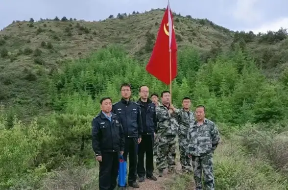手游推荐🌻植物大战僵尸游戏下载：打造专属防线，抵御僵尸入侵