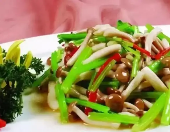 还在为手机浏览器功能单一而烦恼？试试蘑菇浏览器APP，小巧强大一应俱全！
