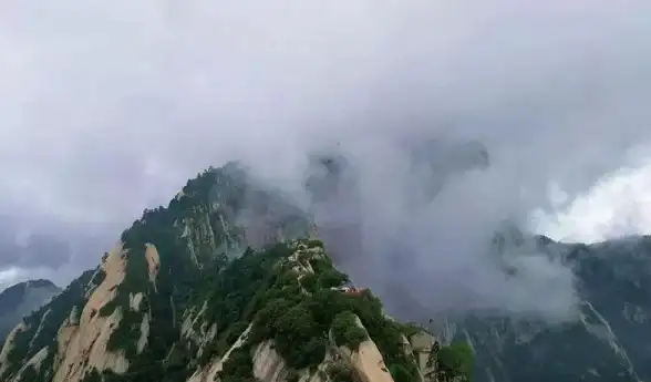 想同时使用多个APP？试试幻影云手机，云端运行不卡顿！