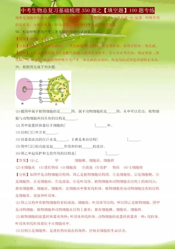 中考复习没方向？试试汇中考APP，高效学习一网打尽！