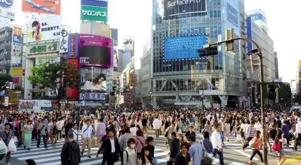 游戏攻略◆安卓必备◆免费直装 轨道连结手游免费下载与详细安装教程