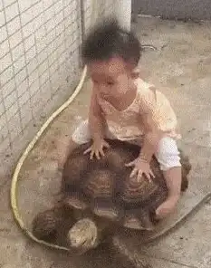 企业内部沟通不畅？这款高效聊天工具或许能帮你解决！