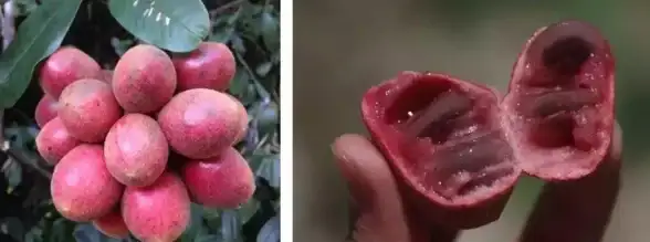 🔥惊喜攻略🔥快速掌握怪物猎人出发界面按键详解与操作技巧分享