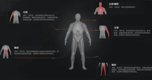 游戏攻略🔥暗区突围伪装刷新时间全攻略详细解析