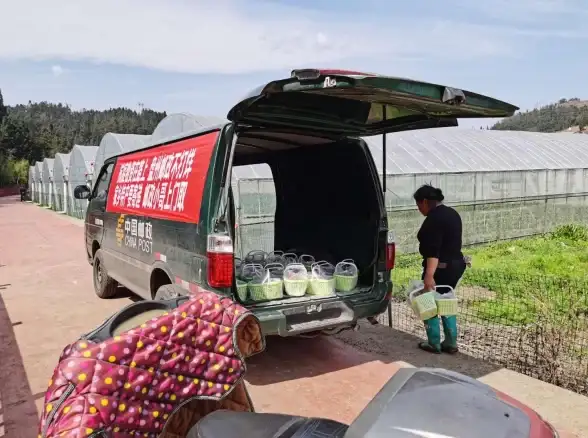 对战精选🎮同城游戏大厅：轻松开启本地对战，多款精品任你选