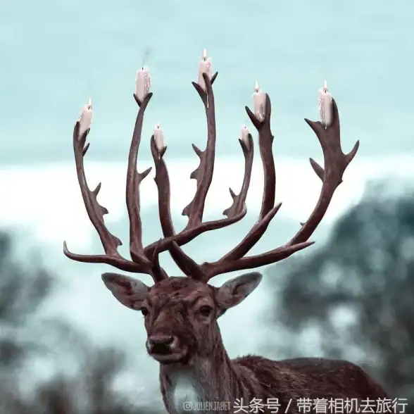 设计工具 设计师福音：创意设计必备的高效PS软件全解析