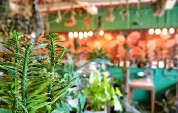 厌倦了单调的屏幕背景？羊羊壁纸一键换装，让你的设备瞬间吸睛！