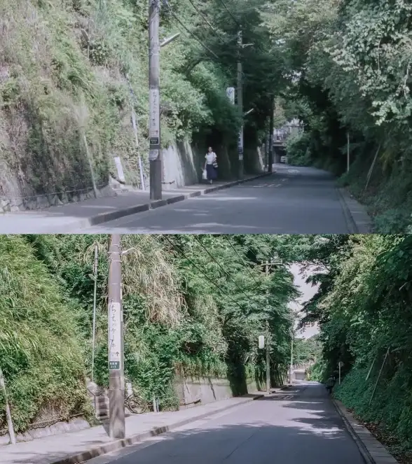 想轻松找到动漫中的经典场景？试试这款圣地巡礼APP！