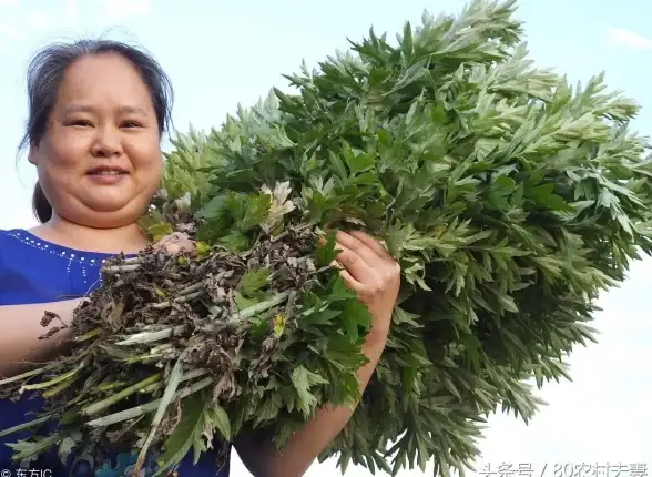 想要远离蚊子骚扰？试试驱蚊神器APP，一开即静享清凉！