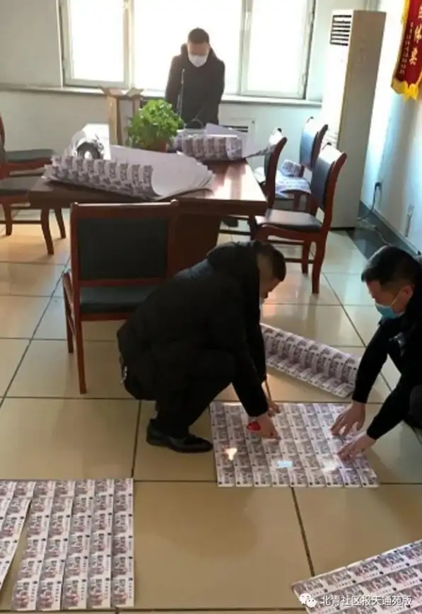游戏推荐🌻下载植物大战僵尸2电脑版，体验经典策略守护家园之战