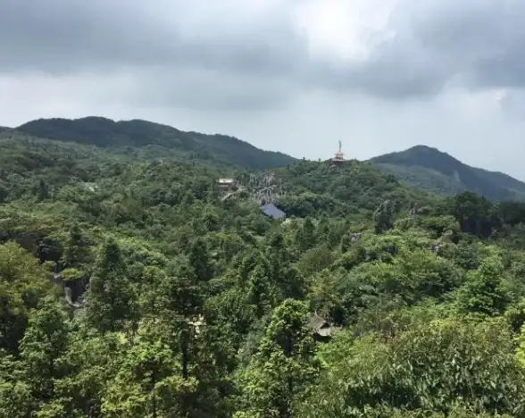 还在为查询空气质量发愁？空气质量发布app一键搞定！